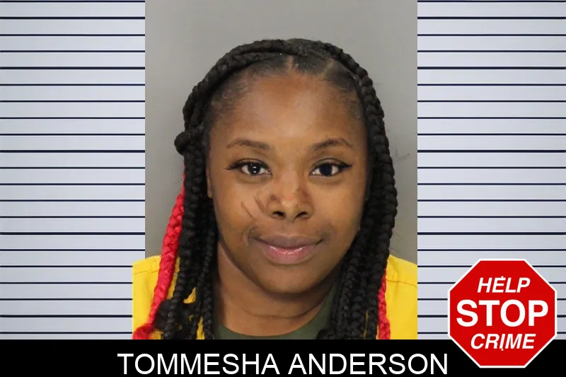 Tommesha Anderson mugshot