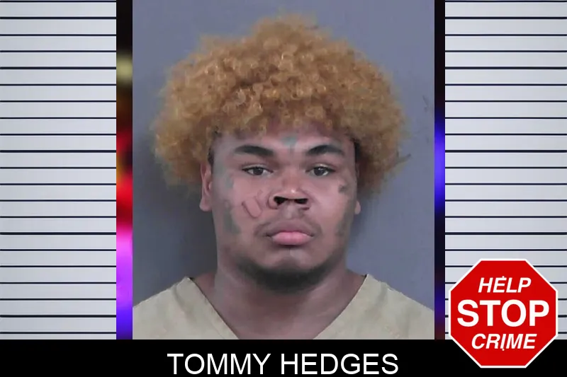Tommy Hedges mugshot