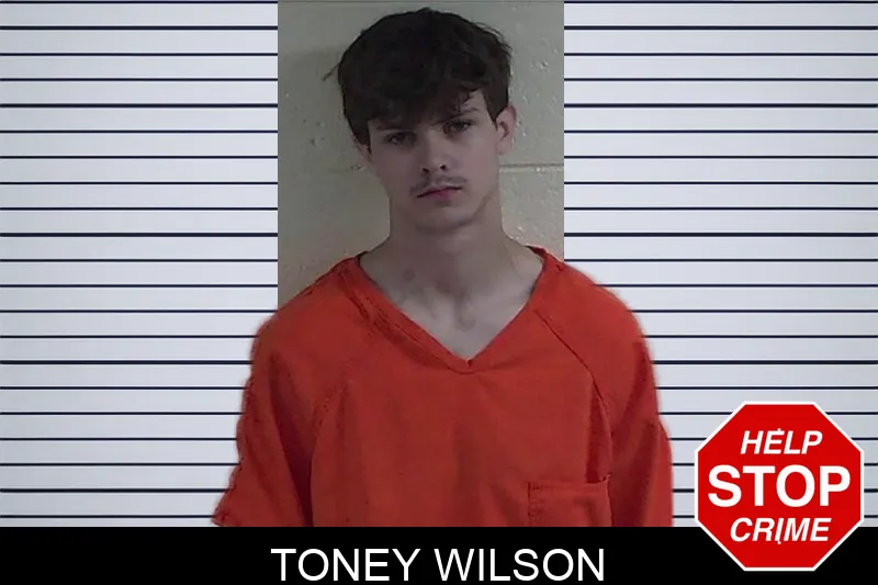 Toney Wilson mugshot