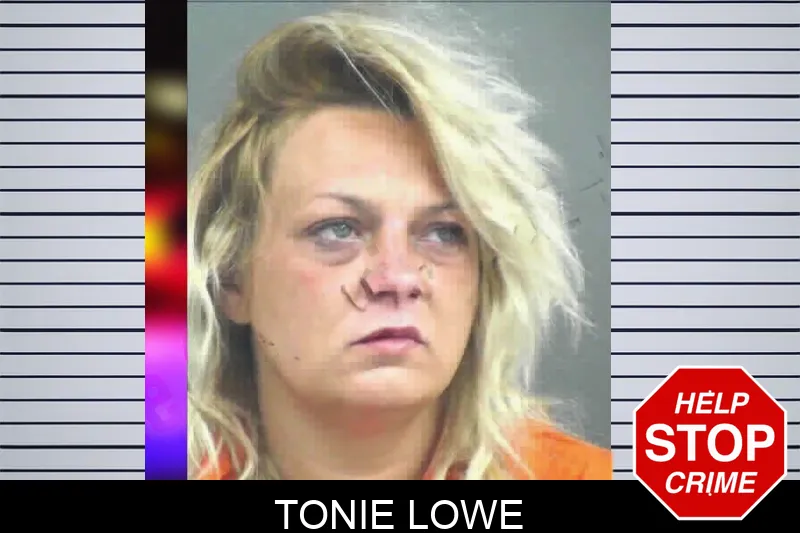 Tonie Lowe mugshot