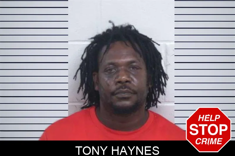 Tony Haynes mugshot