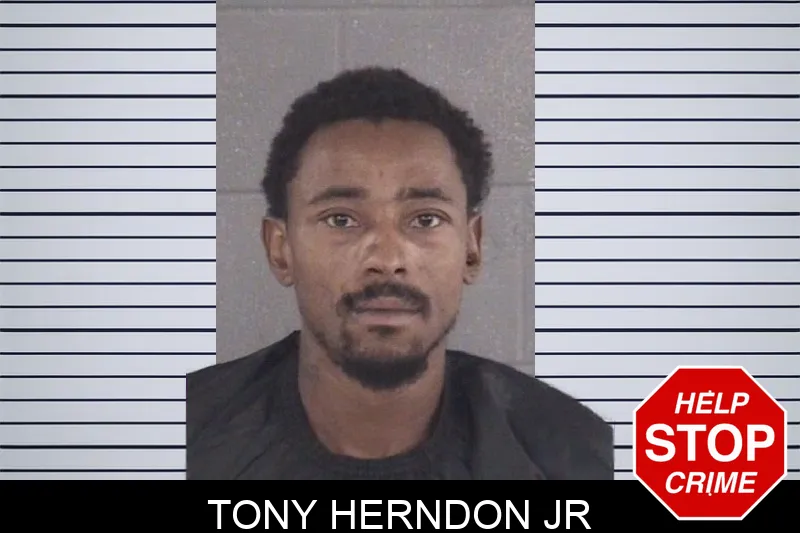 Tony Herndon Jr mugshot