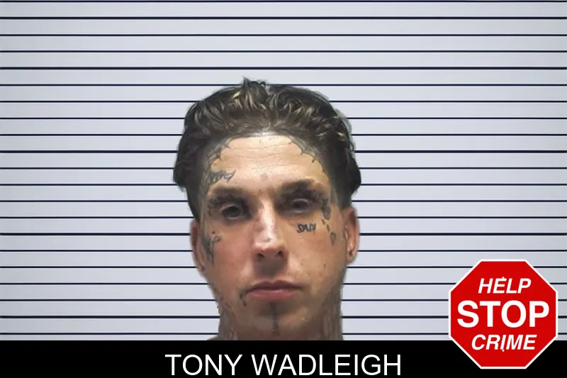 Tony Wadleigh mugshot