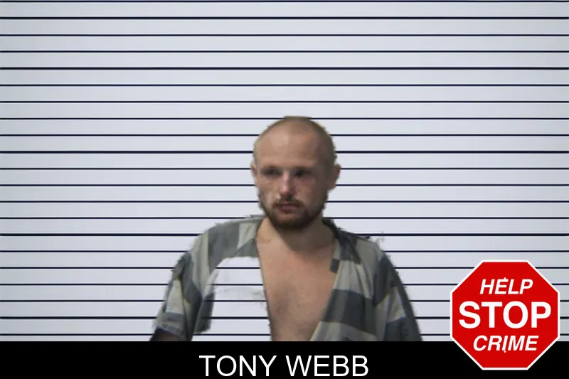 Tony Webb mugshot