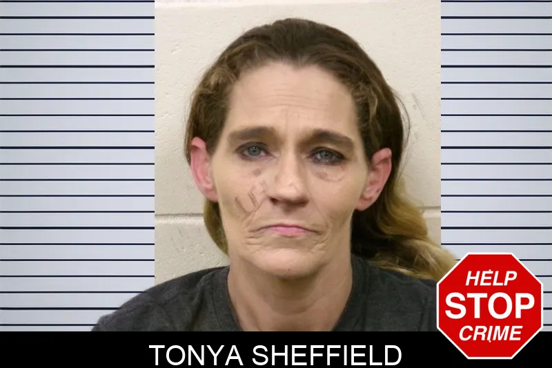 Tonya Sheffield mugshot