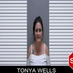 Tonya Wells mugshot