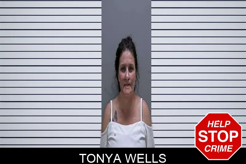 Tonya Wells mugshot
