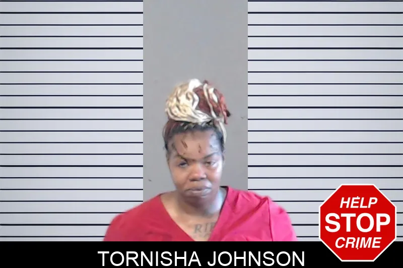 Tornisha Johnson mugshot
