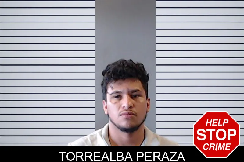 Torrealba Peraza mugshot