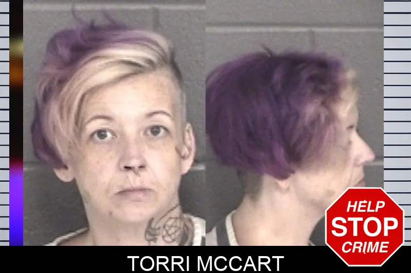 Torri McCart mugshot