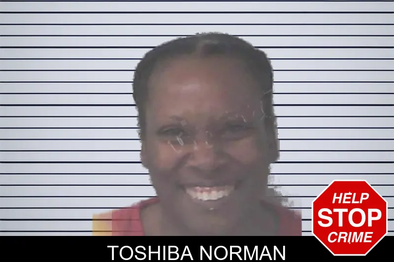 Toshiba Norman mugshot