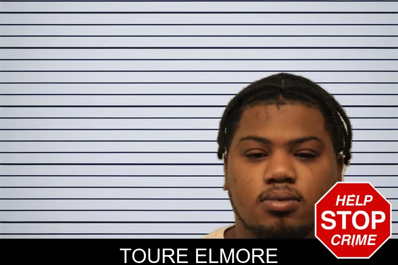 Toure Elmore mugshot – Chatham County , Georgia Toure Elmore mugshot