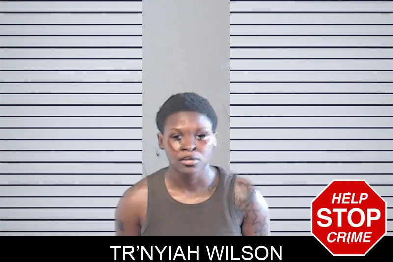 Tr’Nyiah Wilson mugshot