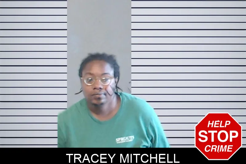 Tracey Mitchell mugshot