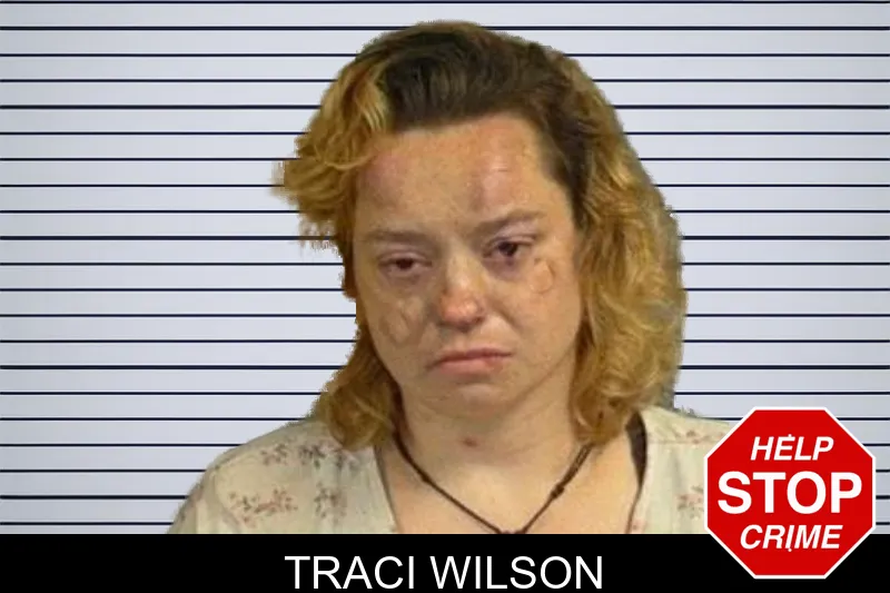 Traci Wilson mugshot