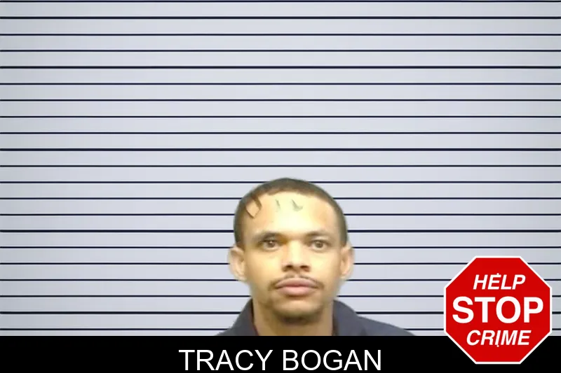Tracy Bogan mugshot