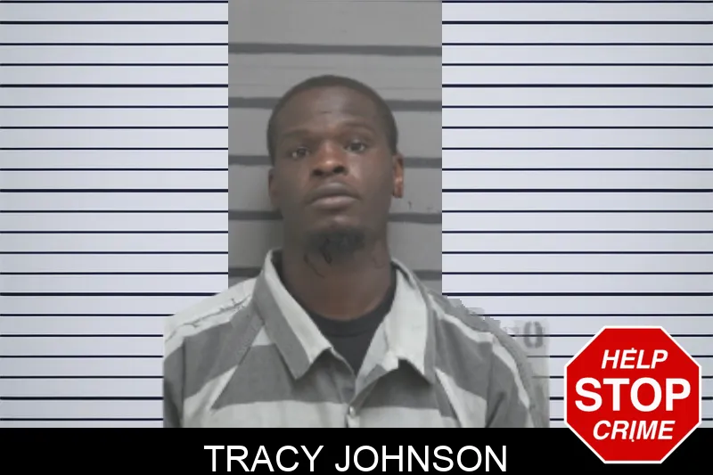 Tracy Johnson mugshot