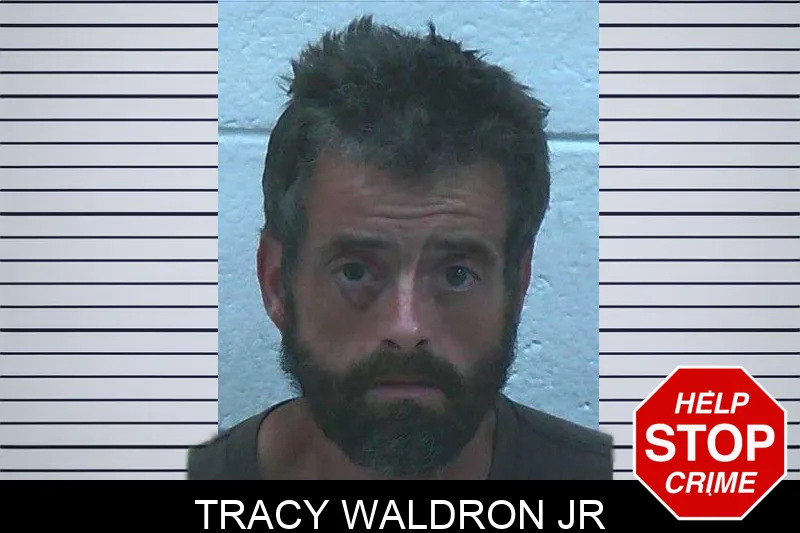 Tracy Waldron Jr mugshot