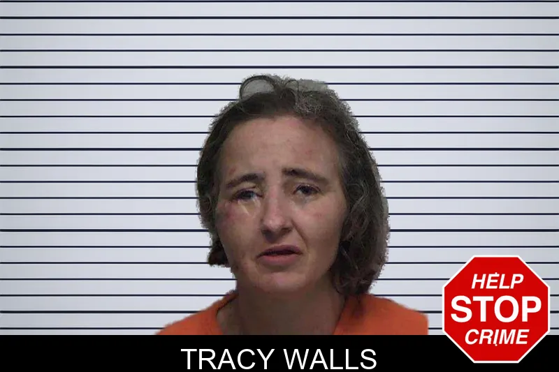 Tracy Walls mugshot