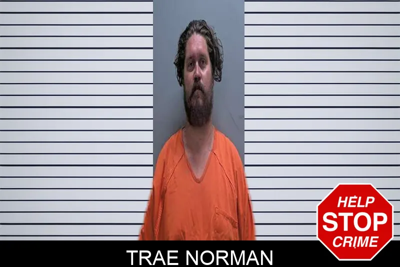 Trae Norman mugshot