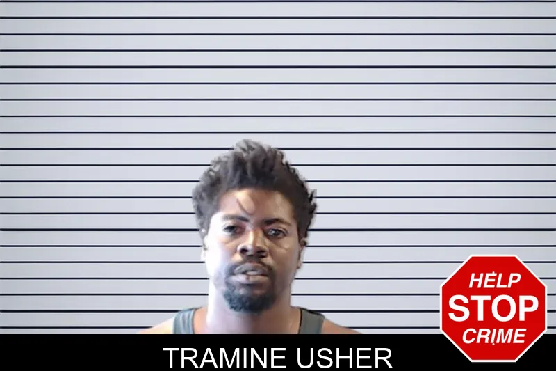Tramine Usher mugshot
