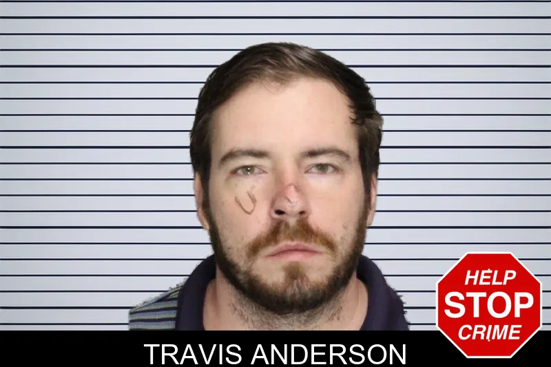 Travis Anderson mugshot