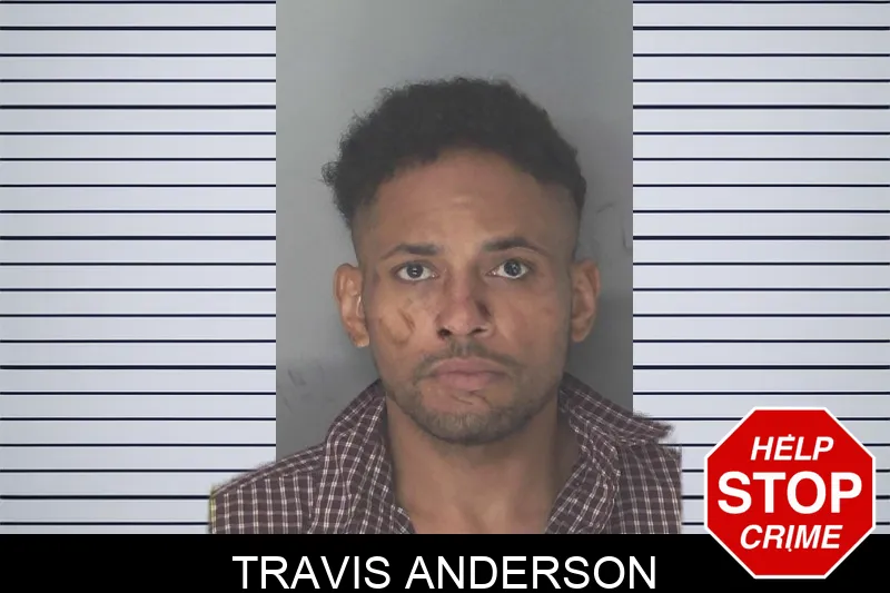 Travis Anderson mugshot