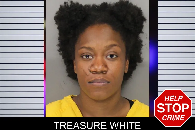 Treasure White mugshot