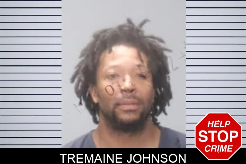 Tremaine Johnson mugshot