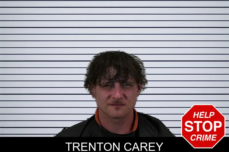 Trenton Carey mugshot