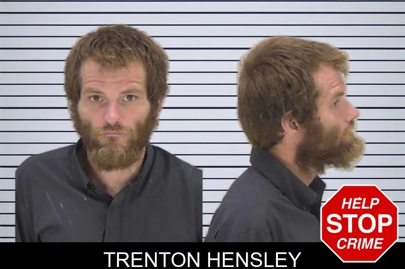 Trenton Hensley mugshot