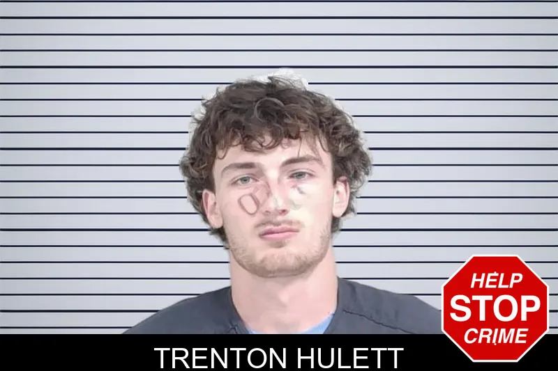 Trenton Hulett mugshot