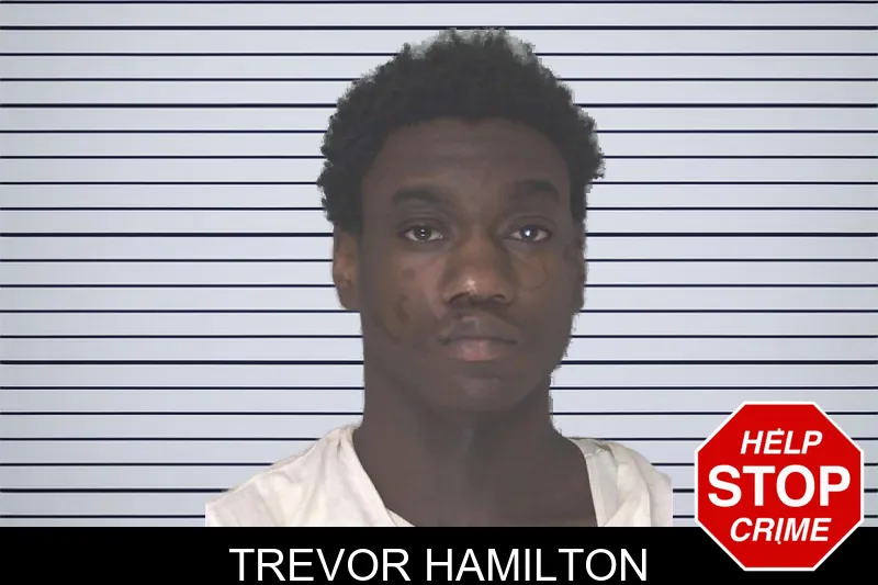 Trevor Hamilton mugshot