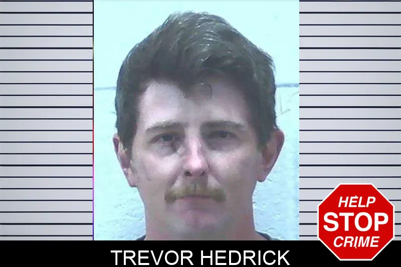 Trevor Hedrick mugshot