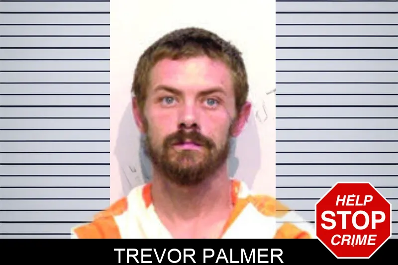 Trevor Palmer mugshot