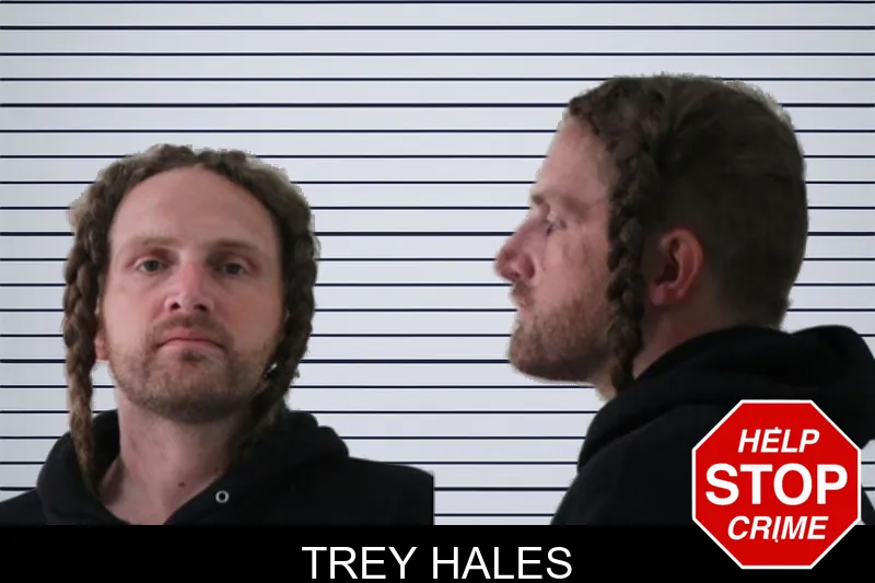 Trey Hales mugshot