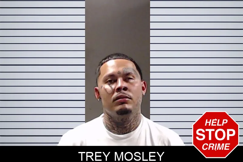 Trey Mosley mugshot