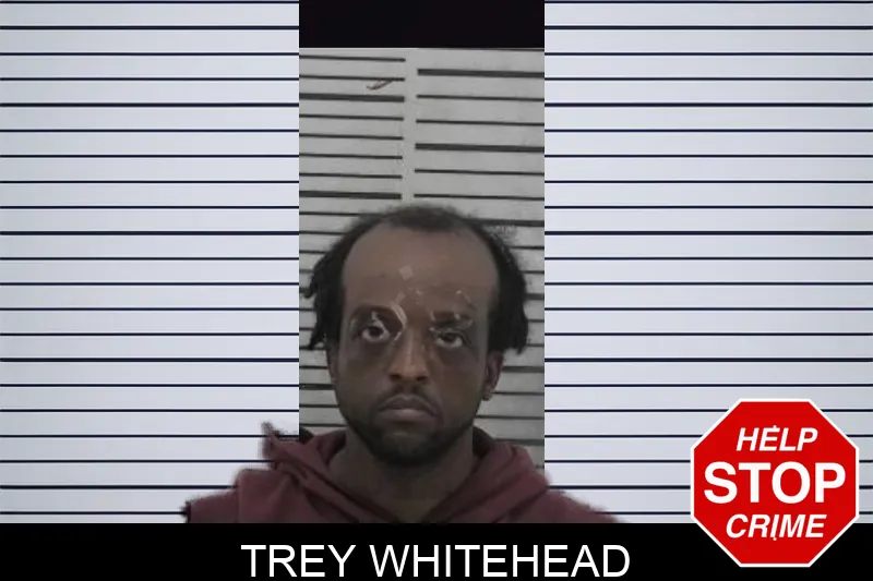 Trey Whitehead mugshot
