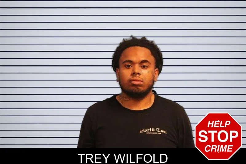 Trey Wilfold mugshot