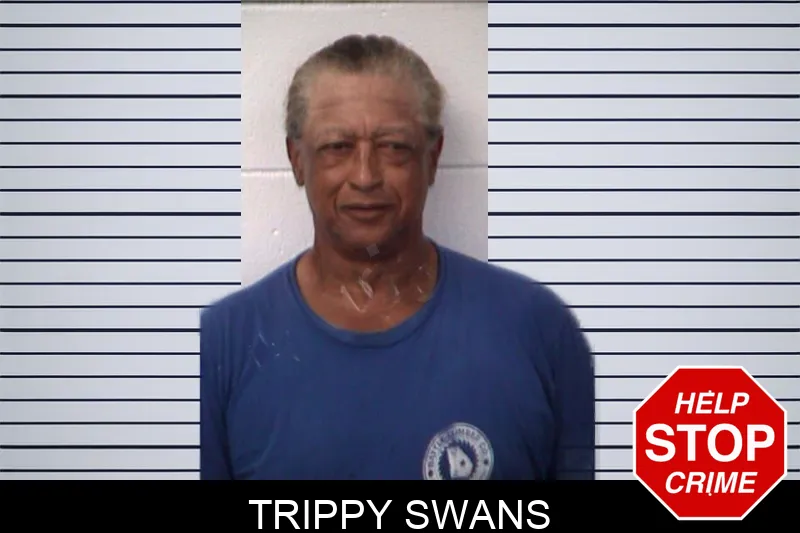 Trippy Swans mugshot
