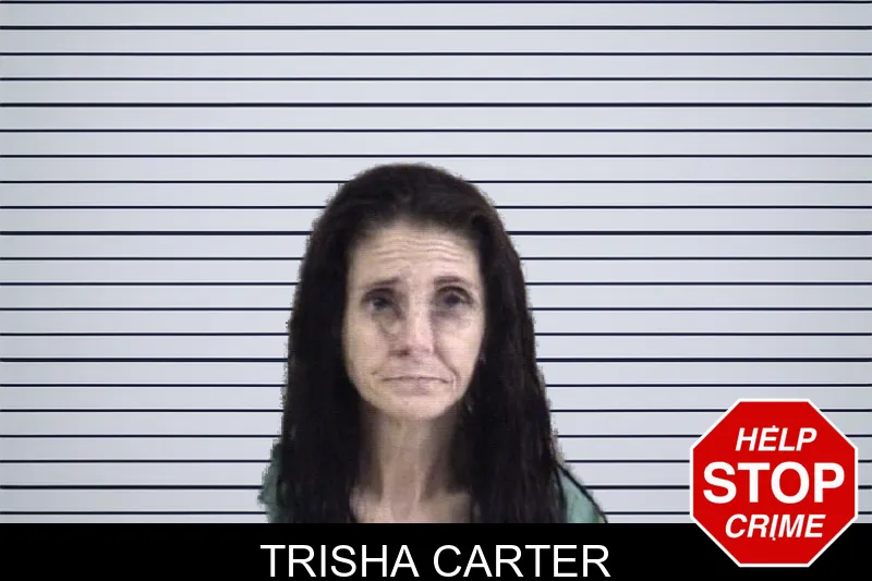 Trisha Carter mugshot