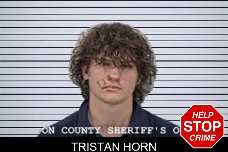 Tristan Horn mugshot