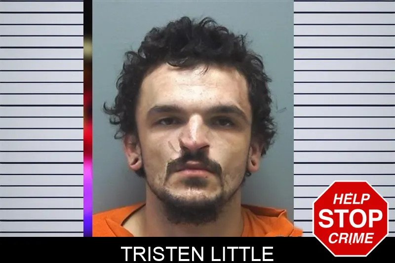 Tristen Little mugshot
