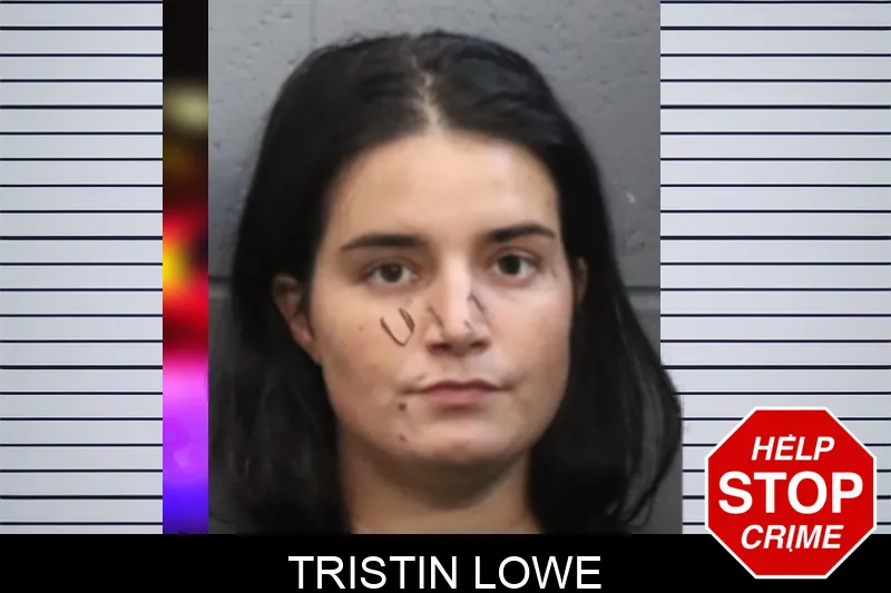 Tristin Lowe mugshot
