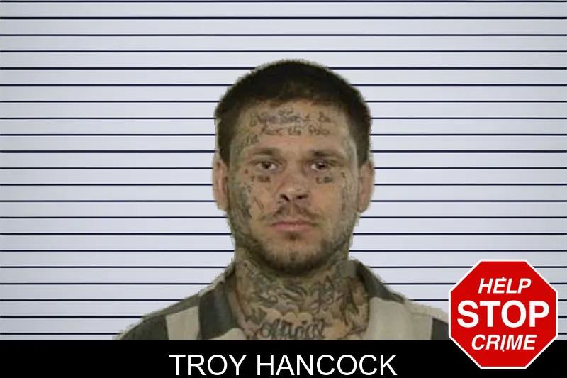 Troy Hancock mugshot
