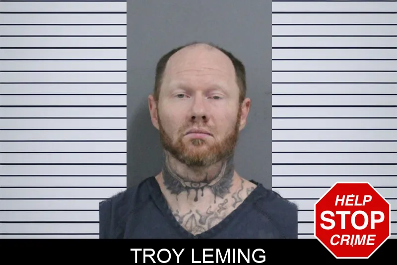 Troy Leming mugshot
