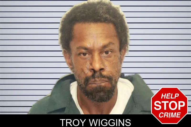 Troy Wiggins mugshot