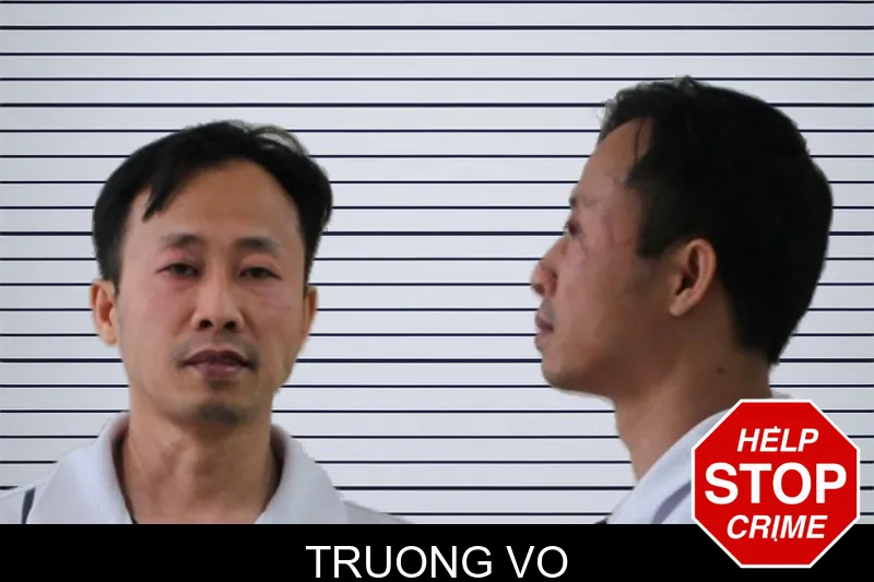 Truong Vo mugshot
