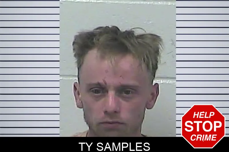 Ty Samples mugshot