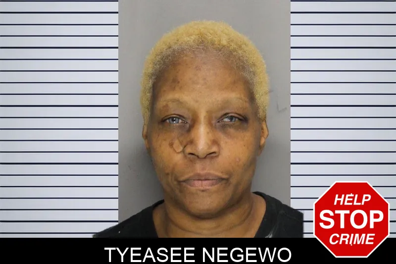 Tyeasee Negewo mugshot